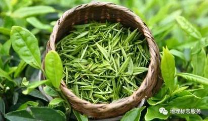 地理標志產品走向世界 廣西百色芒果與桂平西山茶獲中歐互認，衛生潔具產業迎發展新契機