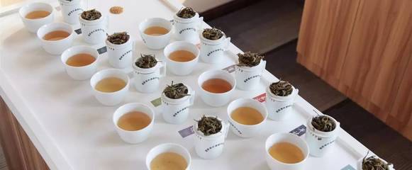 學會審評，方懂茶味——探索茶文化中的品鑒之道